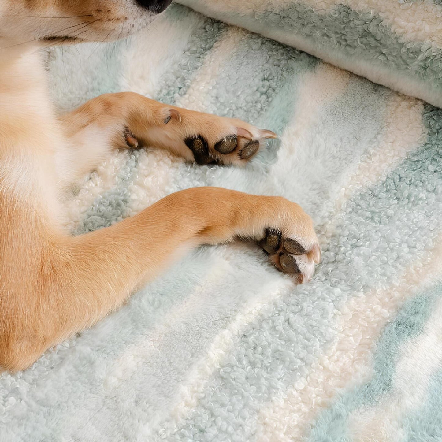 modernes-hundebett-orthopädisches-hundesofa-kunstlammfell-komfort-stil-happyhunde