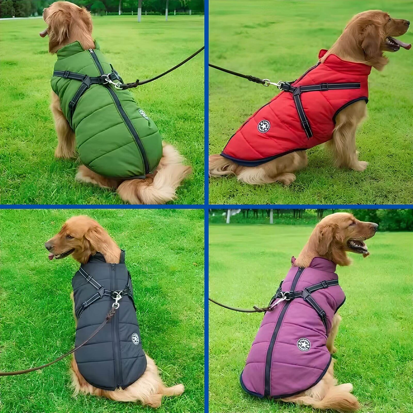 Wasserdichte Winterjacke für Hunde - Wärmende Outdoor-Jacke