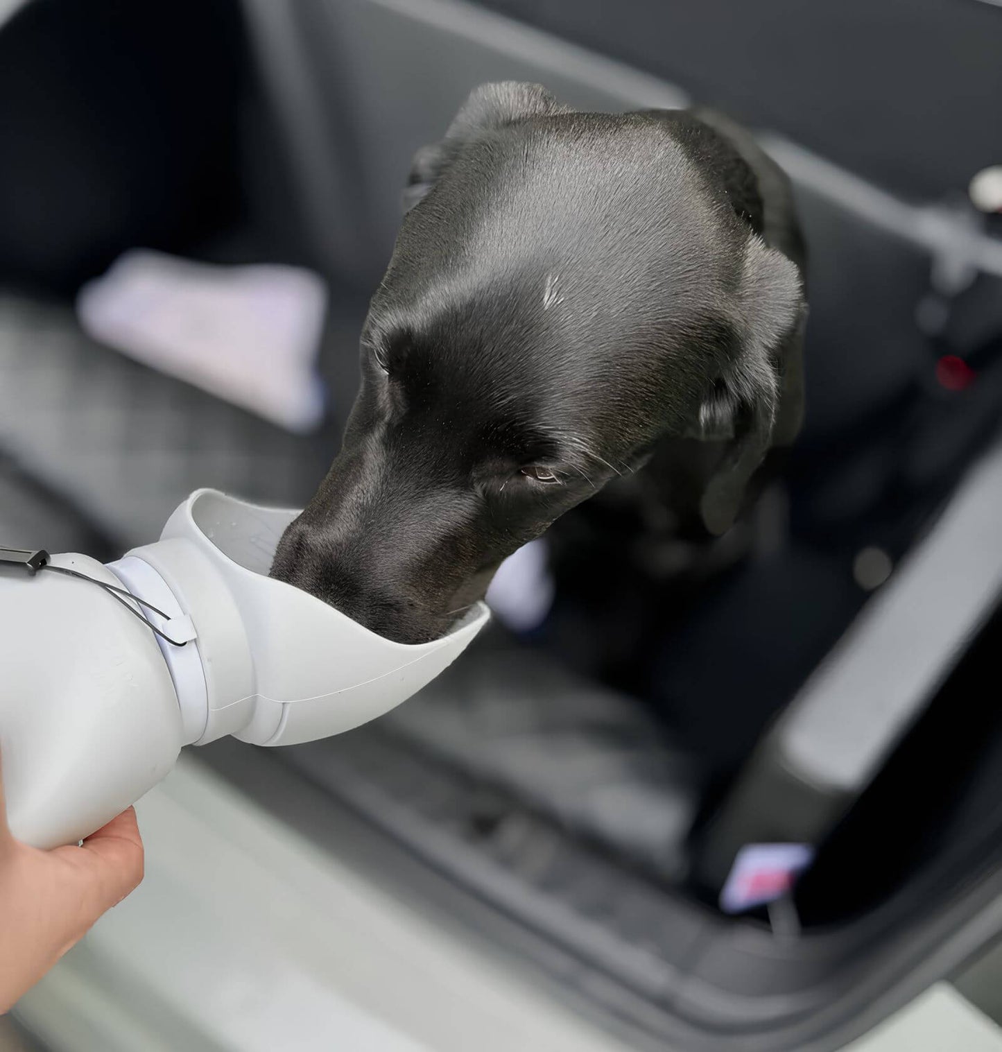 Faltbare Hunde-Wasserflasche - Tragbare Trinkflasche