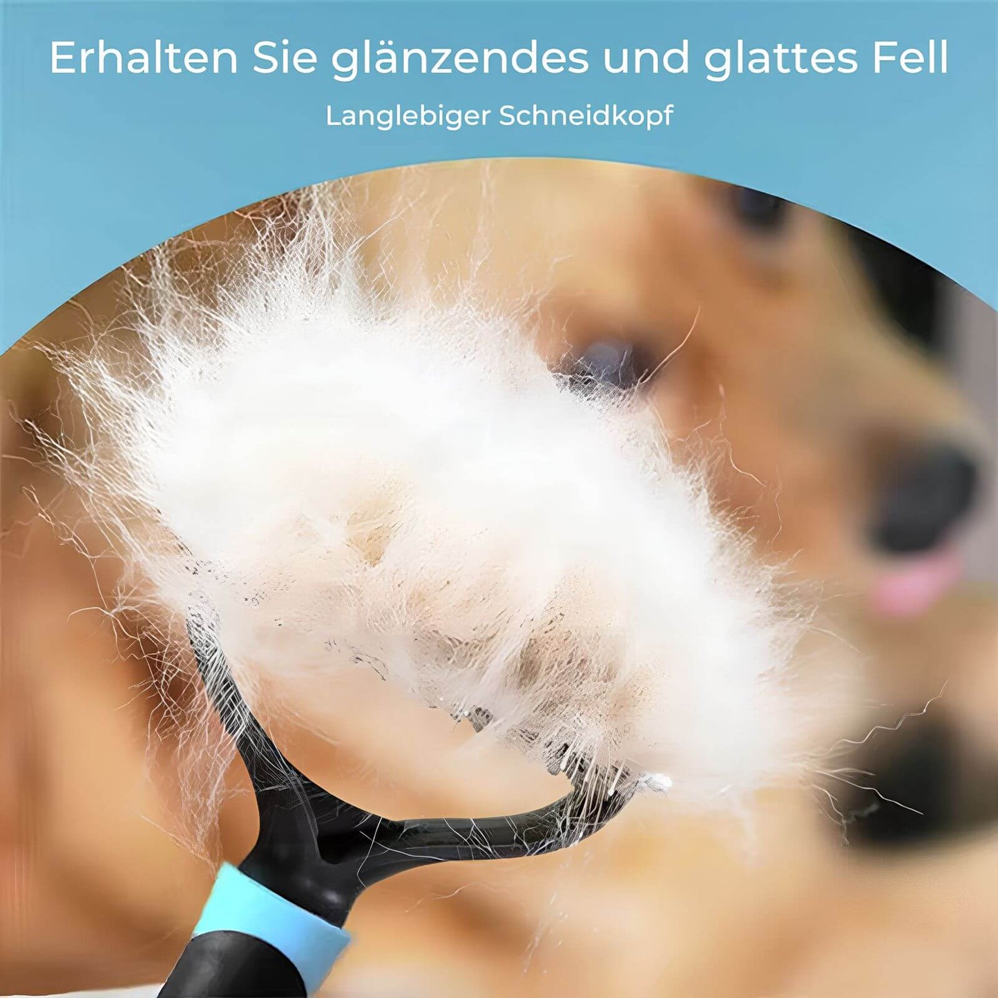 Fellpflegewerkzeug für Hunde