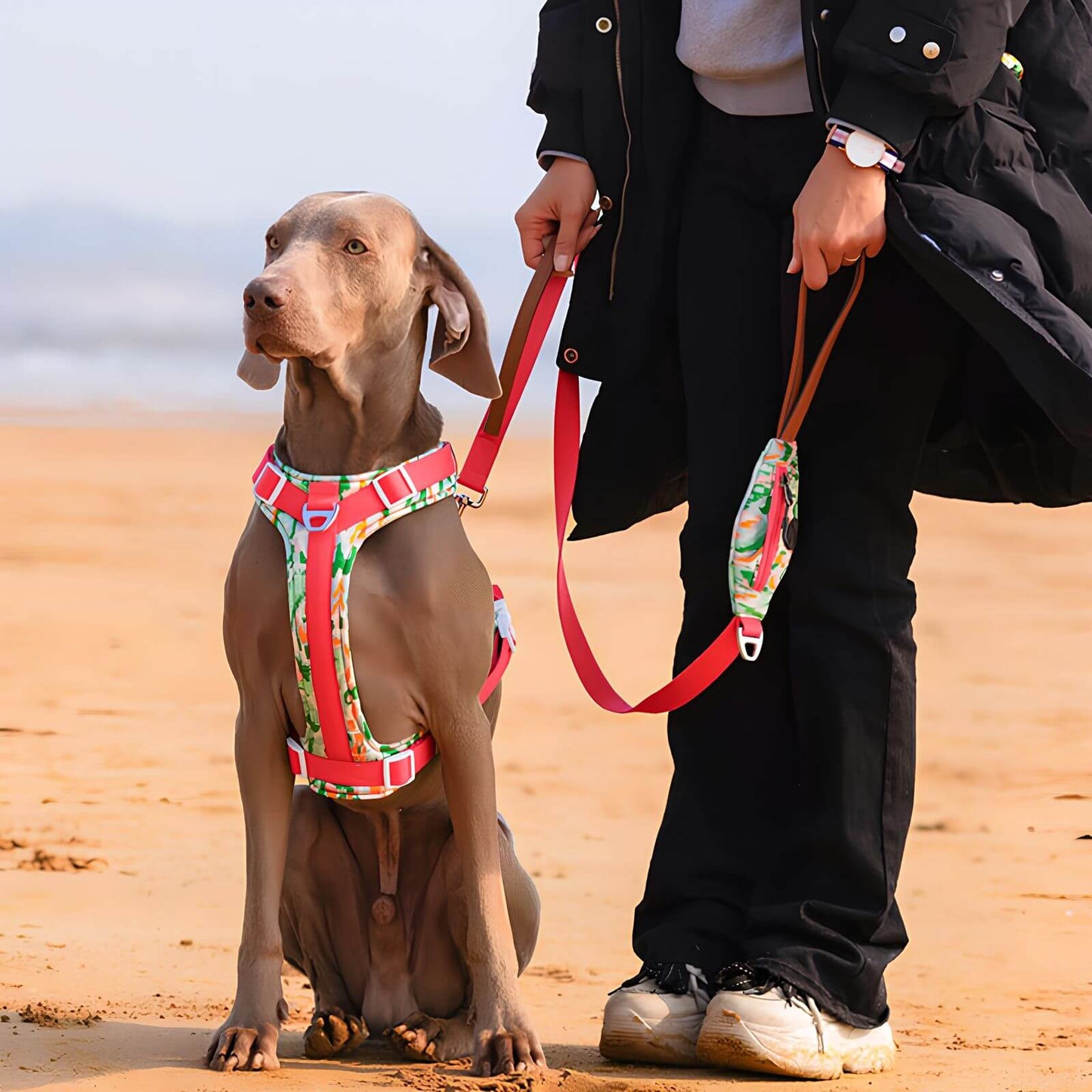 Anti-Zug Hundegeschirr - Sicheres Geh-Set mit Tasche