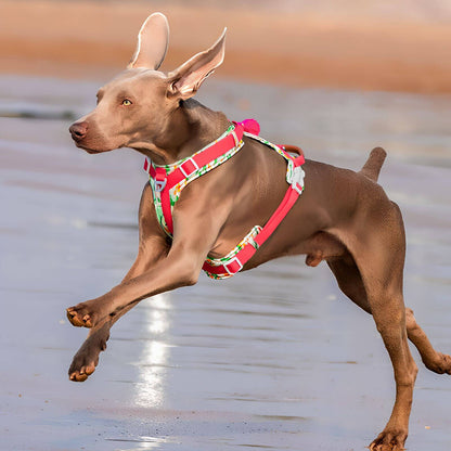 Anti-Zug Hundegeschirr - Sicheres Geh-Set mit Tasche