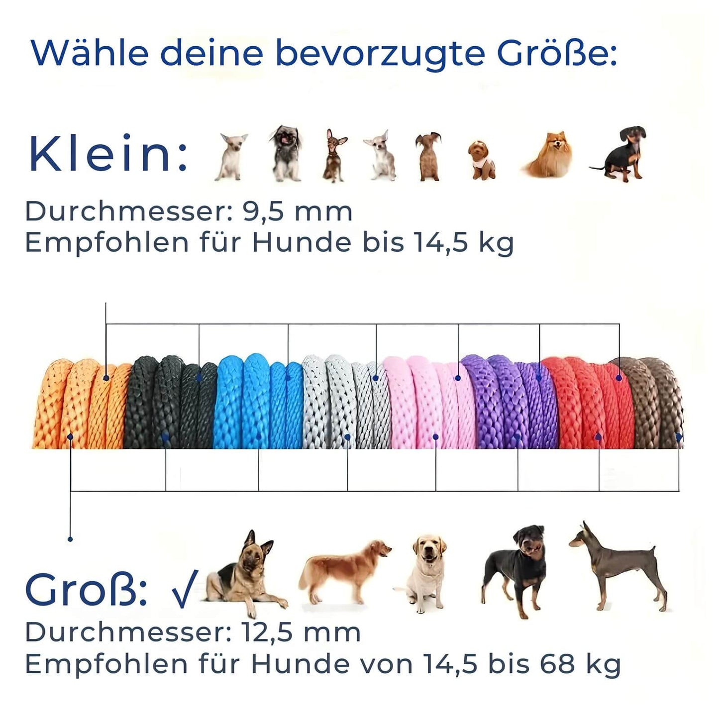 Geflochtene Hundeleine aus Nylon - Robuste Leine für Spaziergänge und Training