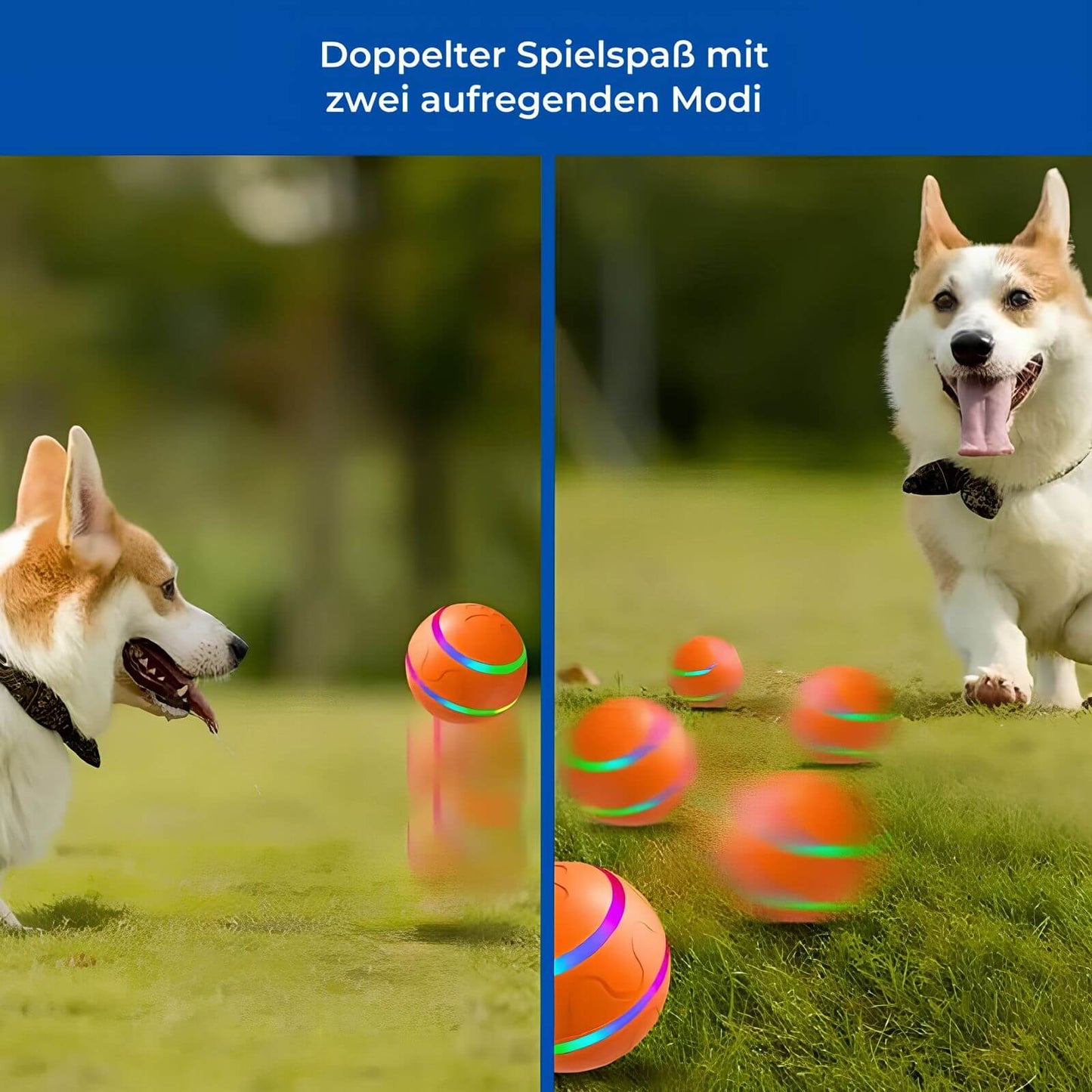 HappyHunde - Aktiver Rollender Ball für Hunde