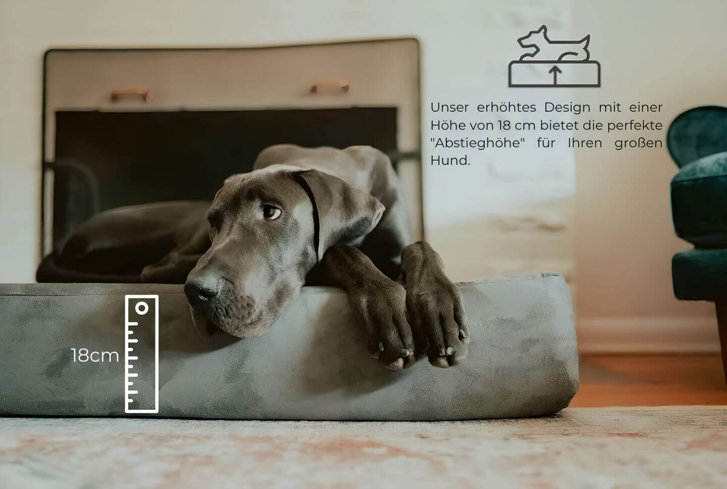 HappyHunde - Orthopädisches Hundebett für große Hunde