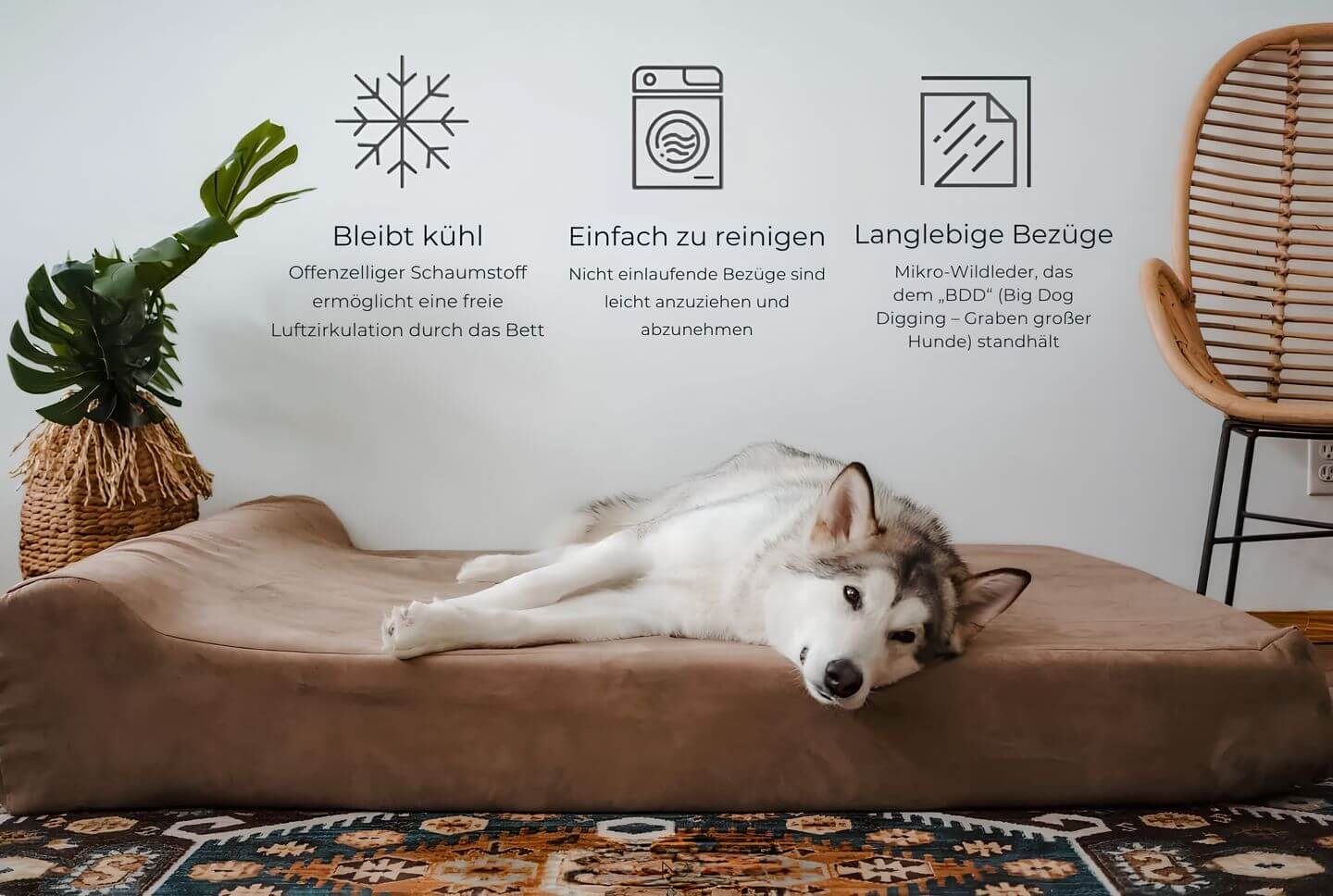 HappyHunde - Orthopädisches Hundebett für große Hunde