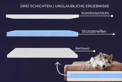 HappyHunde - Orthopädisches Hundebett für große Hunde