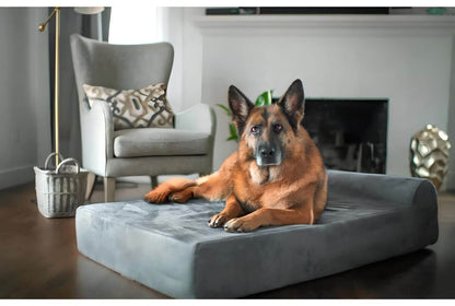 HappyHunde - Orthopädisches Hundebett für große Hunde