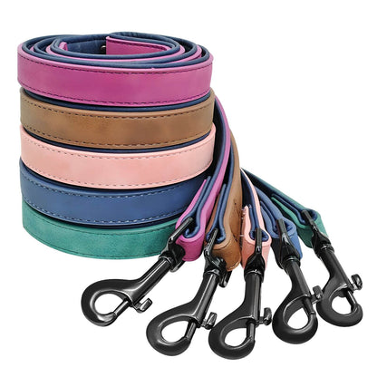 Hundehalsband - Stilvolles Haustierhalsband mit Gravur