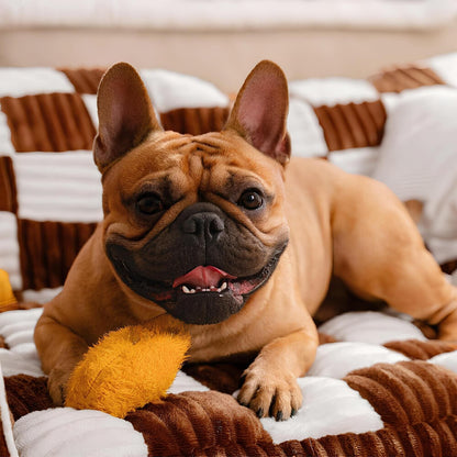 koenigsschach-orthopaedisches-hundesofa-vintage-extra-large-schachbrett-komfort-happyhunde