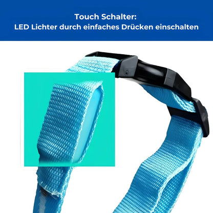 HappyHunde - LED-Leuchthalsband für Hunde