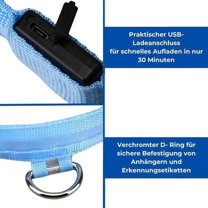 HappyHunde - LED-Leuchthalsband für Hunde