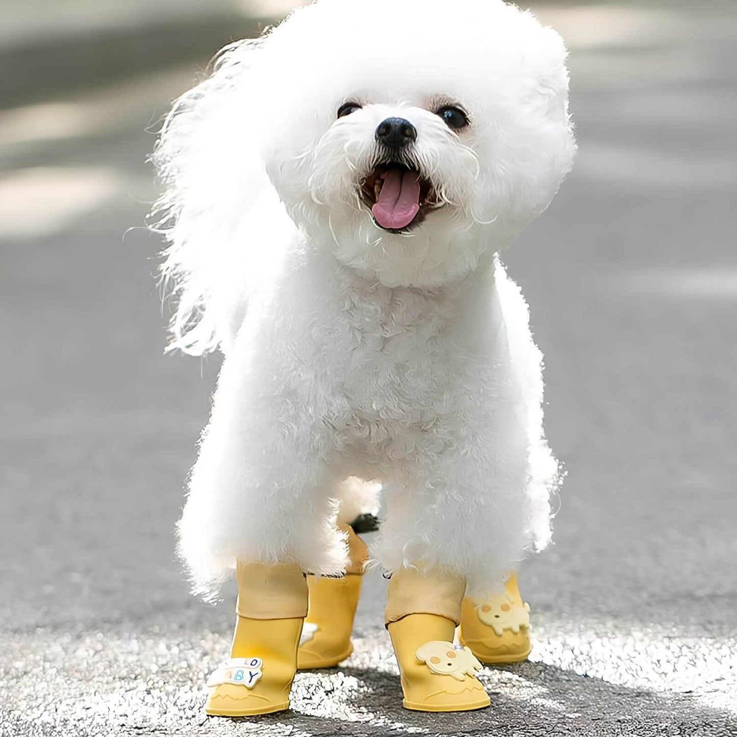 Modische Hunderegenstiefel - Wasserdichte Stiefel für Schutz bei Regen