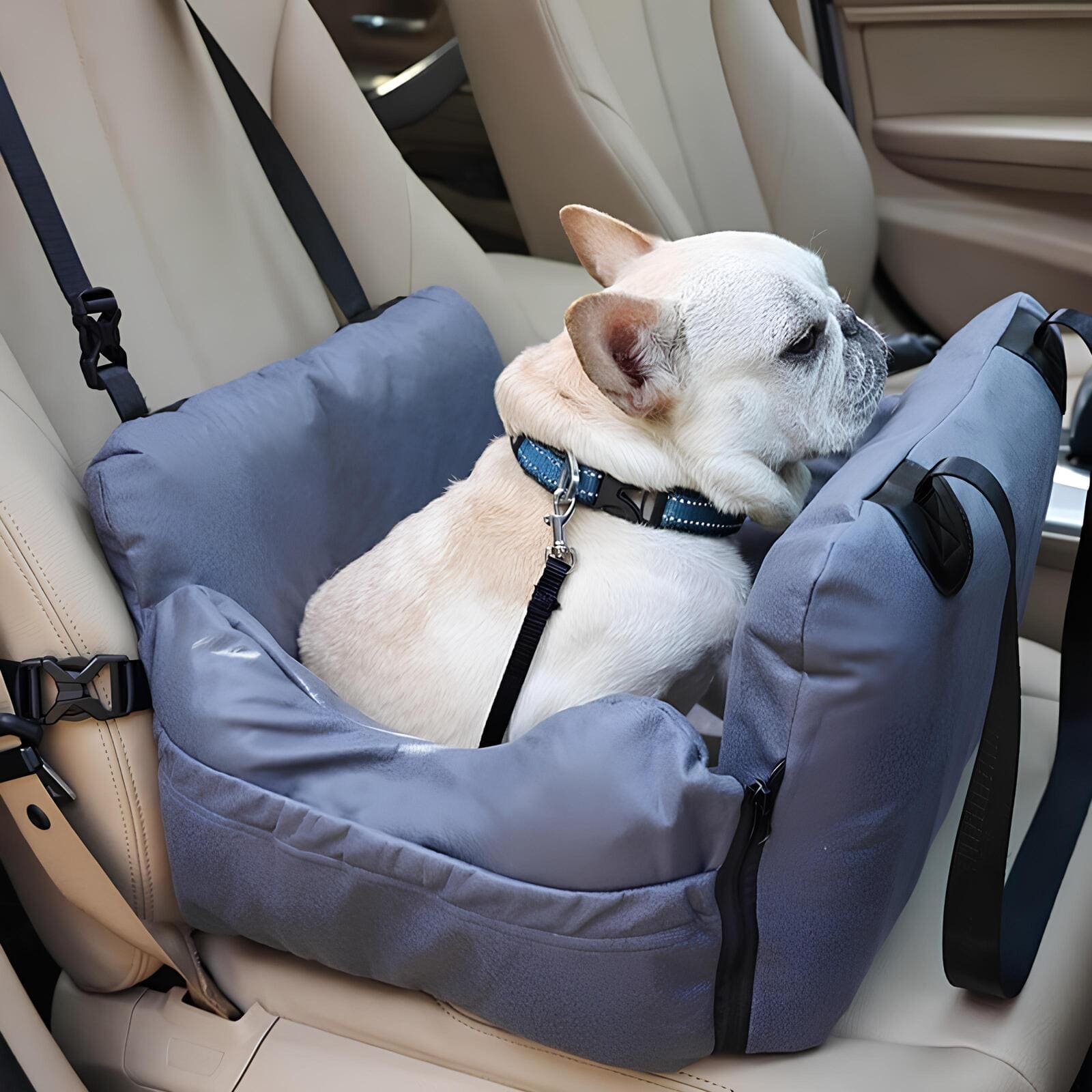 multifunctional-portable-dog-car-seat-airbag-reisesitz-hundesitz-happyhunde