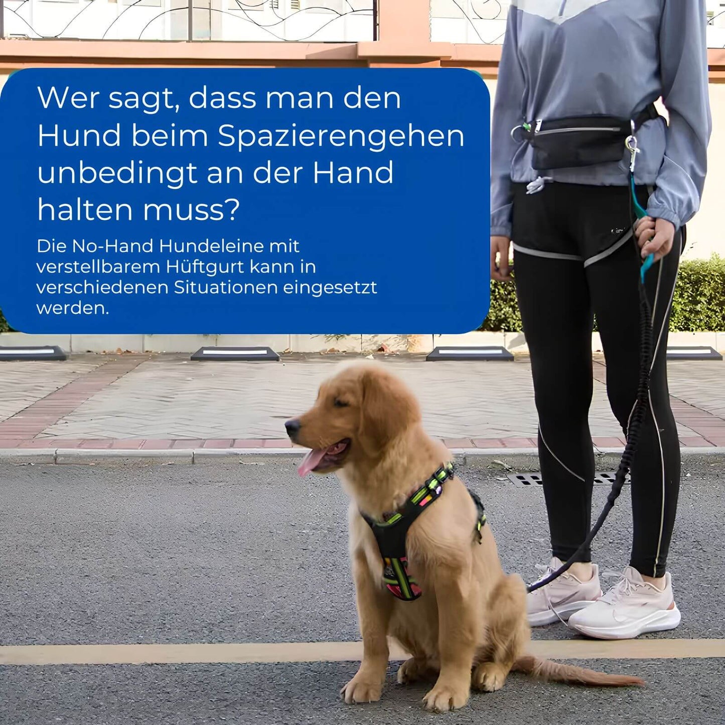 HappyHunde - No-Hand Hundeleine