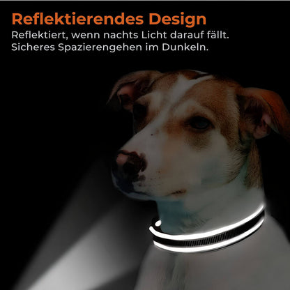 Reflektierendes Hundehalsband - Verstellbares Sicherheits-Nylonhalsband