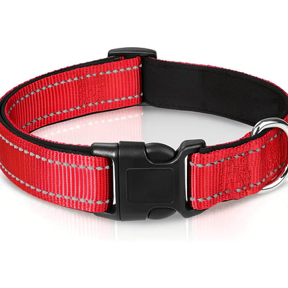 Reflektierendes Hundehalsband - Verstellbares Sicherheits-Nylonhalsband