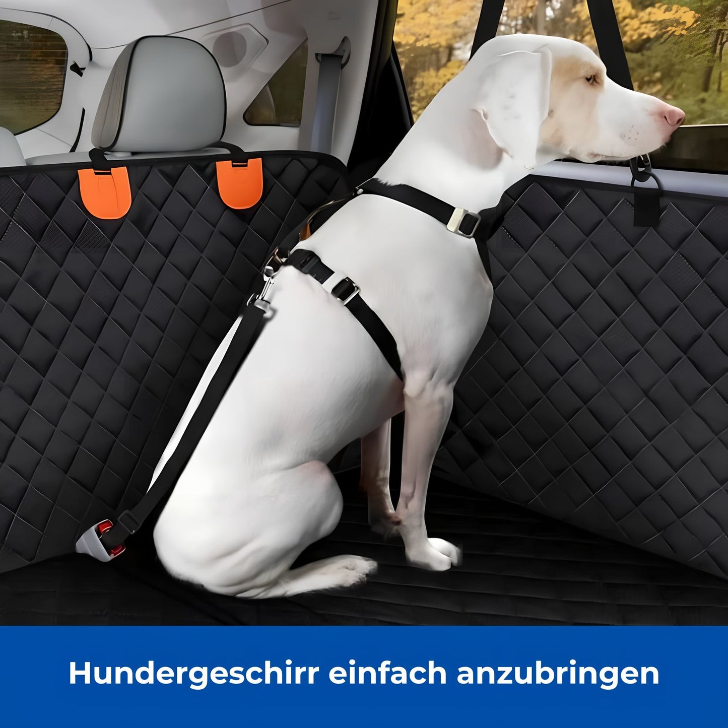 HappyHunde - Premium Hundesitzbezug mit hartem Boden