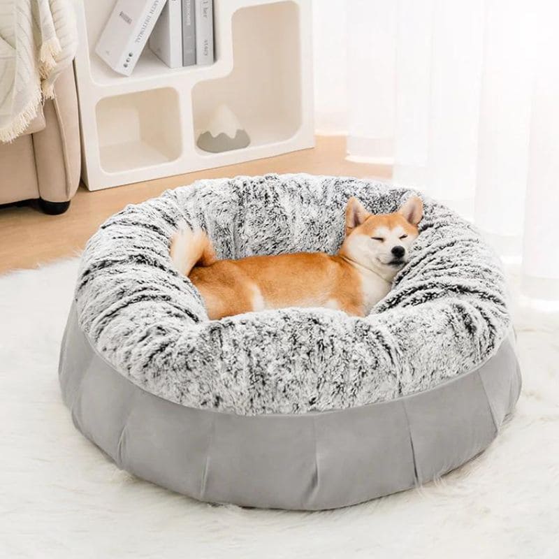 supersoft-orthopädisches-hundebett-luxus-dutch-velvet-happyhunde