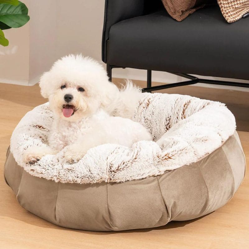 supersoft-orthopädisches-hundebett-luxus-dutch-velvet-happyhunde