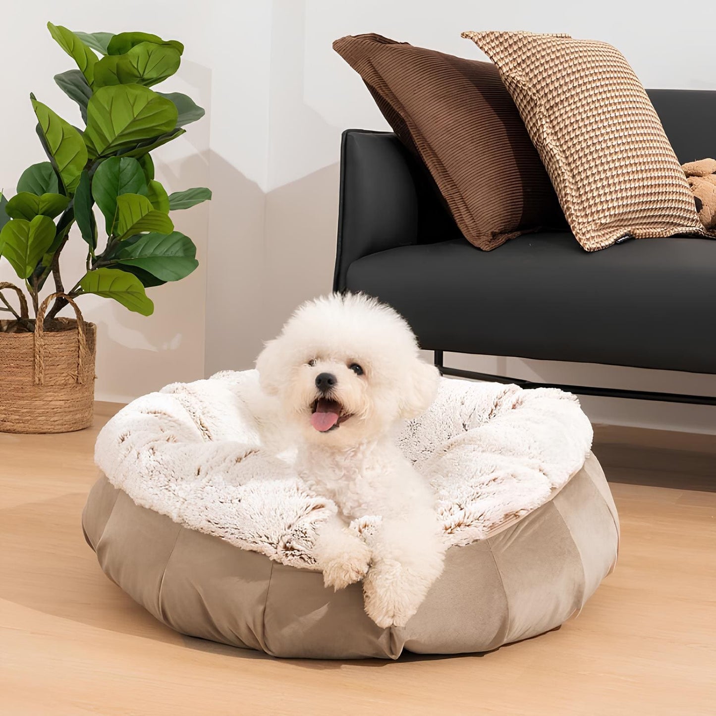 supersoft-orthopädisches-hundebett-luxus-dutch-velvet-happyhunde