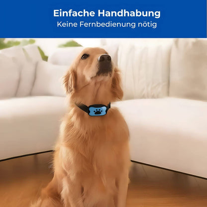 Tierfreundliches Anti-Bell-Halsband