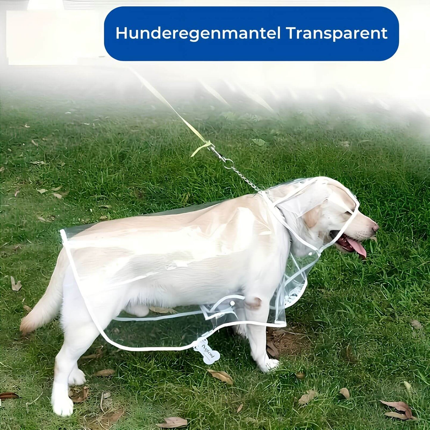 Hunderegenmantel Transparent - Wasserdichter Hundemantel mit Kapuze