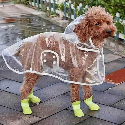 Hunderegenmantel Transparent - Wasserdichter Hundemantel mit Kapuze