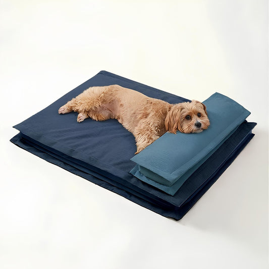 wasserfestes-anti-angst-hundebett-tiefschlaf-beruhigung-schaumstoffpolsterung-happyhunde