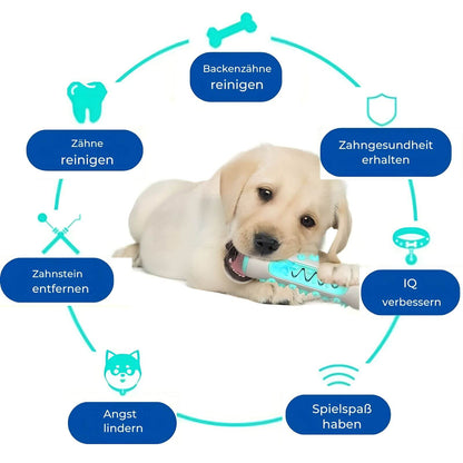 Zahnreiniger für Hunde - Unzerstörbares Kauspielzeug für gesunde Zähne